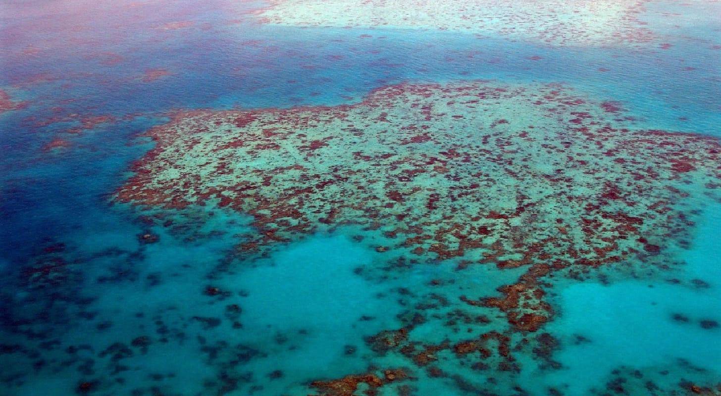 Voyage en Australie, découvrez la plus ancienne foret du monde