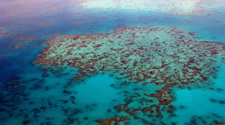 Voyage en Australie, découvrez la plus ancienne foret du monde Voyage en Australie, découvrez la plus ancienne foret du monde