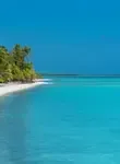 Vol Apataki - Archipel des Tuamotu