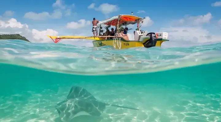 Une sortie plongée avec des raies Vol pas cher pour Bora Bora, sortie plongée avec des raies majestueuses