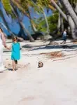 Vol Hao - Archipel des Tuamotu