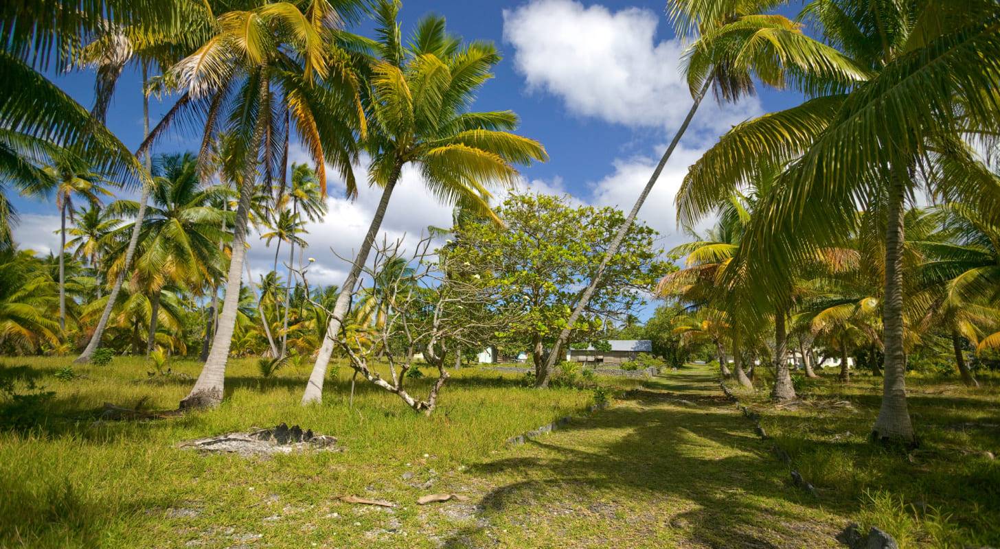 Vol pas cher pour les Tuamotu