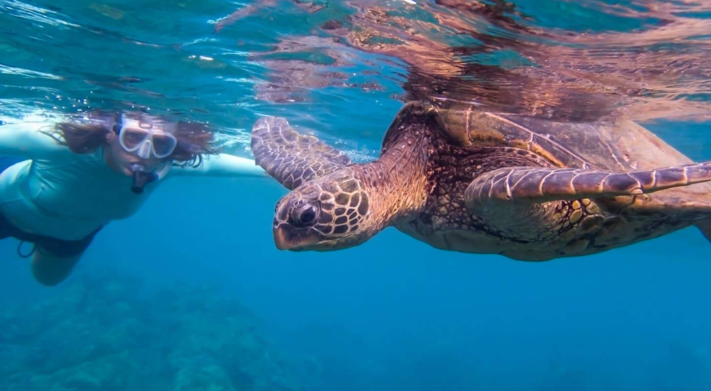Vacances en Polynésie à Maupiti