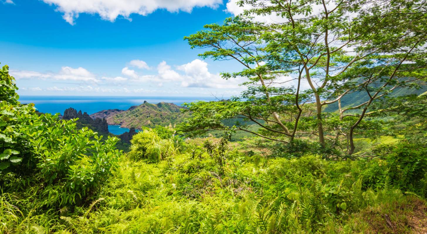 Vol Nuku Hiva pas cher