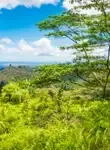 Vol Nuku Hiva - Archipel des Marquises