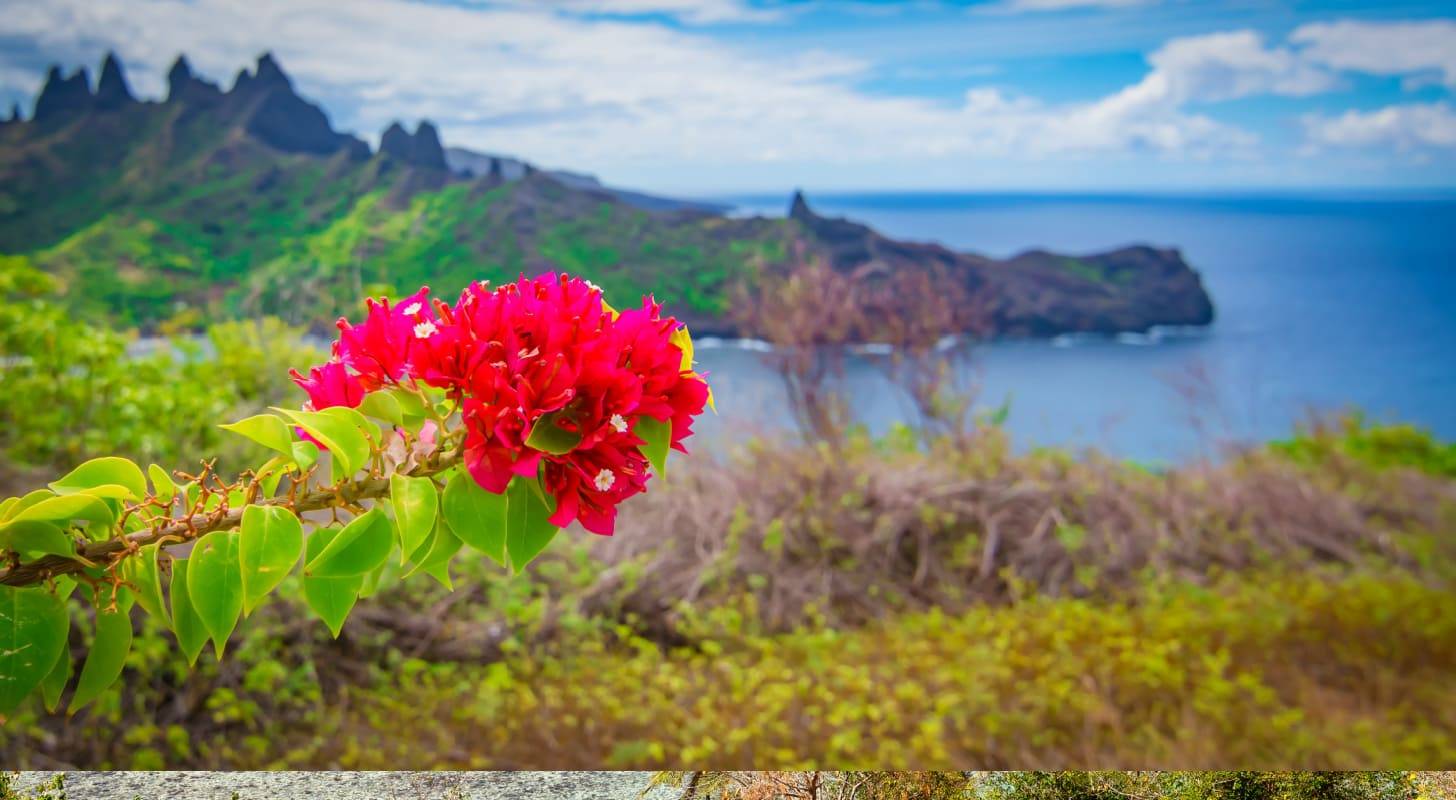 Voyages aux îles Marquise : Où partir ?