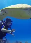 Vol Rangiroa - Archipel des Tuamotu 