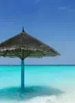 Vol Reao - Archipel des Tuamotu