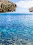 Vol Takapoto - Archipel des Tuamotu 