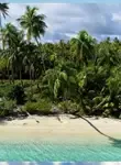 Vol Tureia - Archipel des Tuamotu 