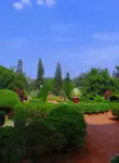 Vol Bengalore