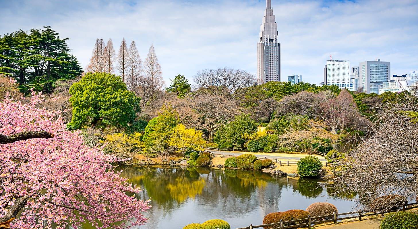 Vol pas cher pour Tokyo, flânez dans le parc Shinjuku Gyoen