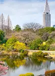 Vol Tokyo