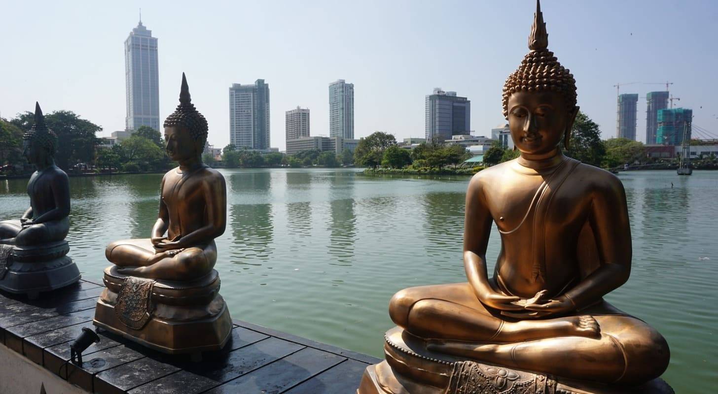 Voyage à Colombo, statues de Buddha dans un parc