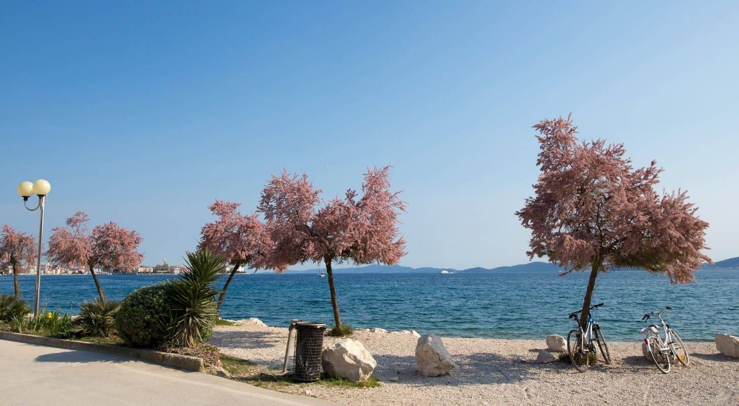 Réservez facilement votre voyage à Zadar et profitez d’une balade en bord de mer