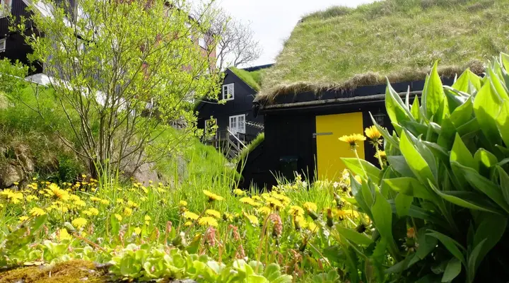 Voyage à Tórshavn, maison traditionnelle au toit végétalisé Voyage à Tórshavn, maison traditionnelle au toit végétalisé