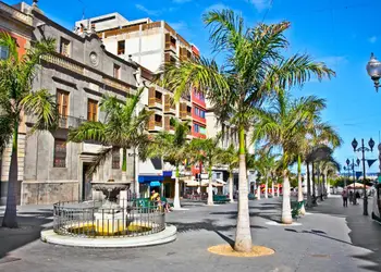 Réservez un vol direct pour Santa Cruz de tenerife et flânez dans le centre-ville de Santa Cruz