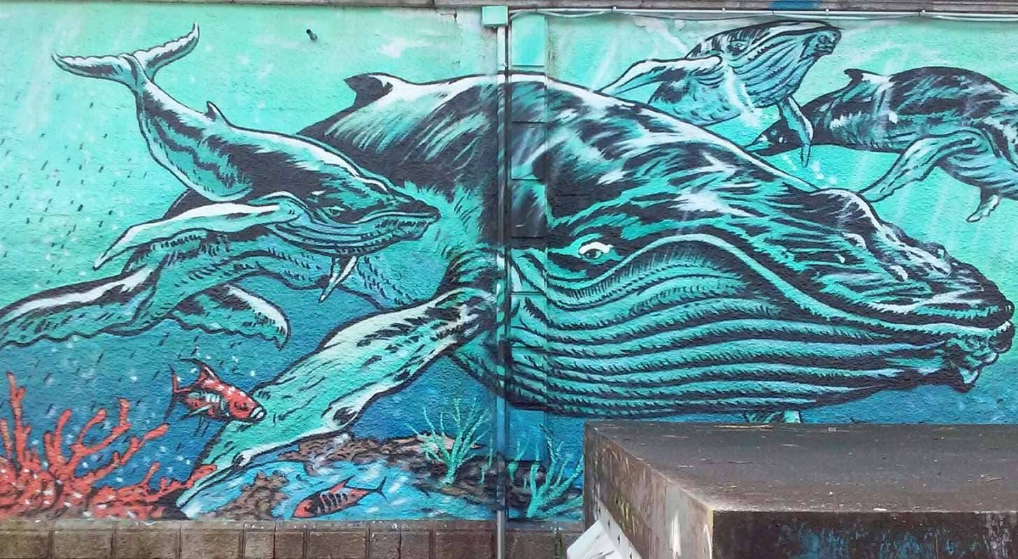 Admirez le street art à Vigo, réservez votre voyage au meilleur prix pour Vigo