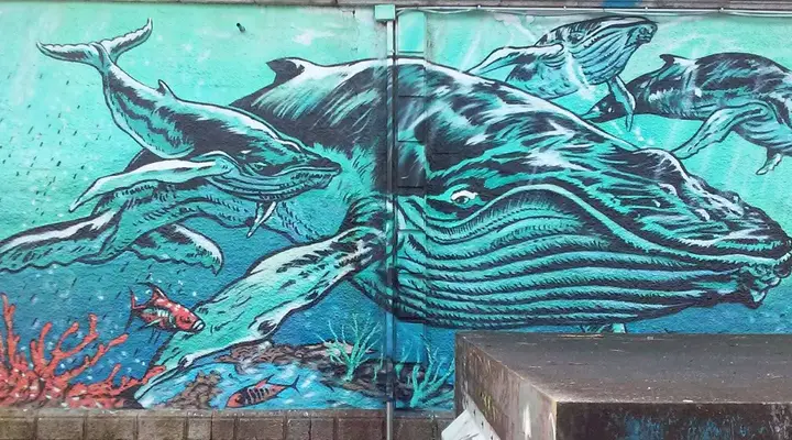 Le street art de Vigo Admirez le street art à Vigo, réservez votre voyage au meilleur prix pour Vigo