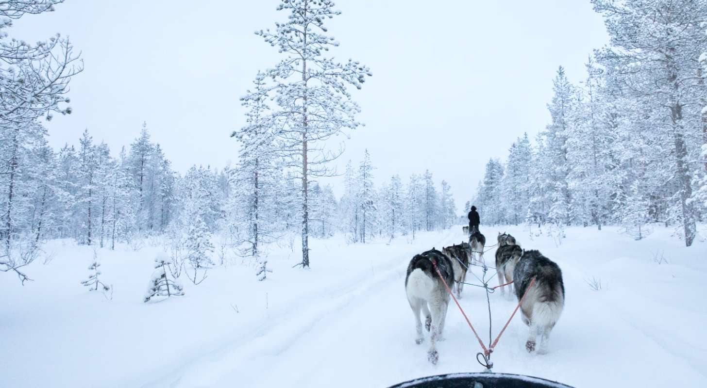 Billet d’avion Kuusamo pas cher