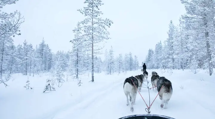 Billet d’avion Kuusamo pas cher Billet d’avion Kuusamo pas cher