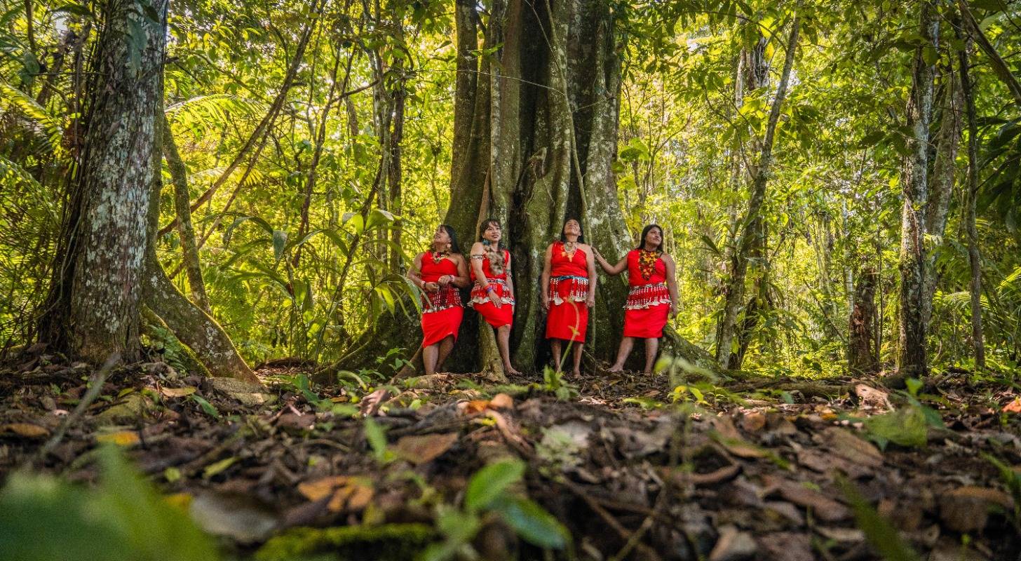 Rencontrez les indiens d'Amazonie