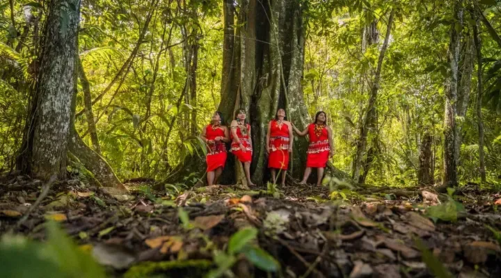 Rencontrez les indiens d'Amazonie Rencontrez les indiens d'Amazonie