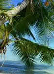 Vol Honiara