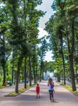 Vol Chisinau