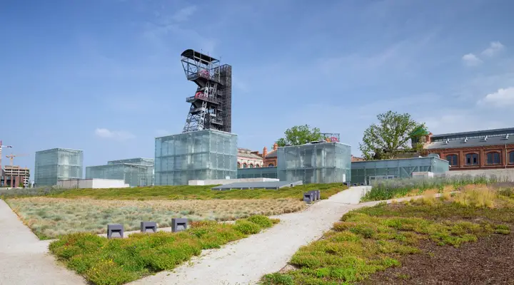 Visite du Musée de Silésie Billet d’avion pour Katowice