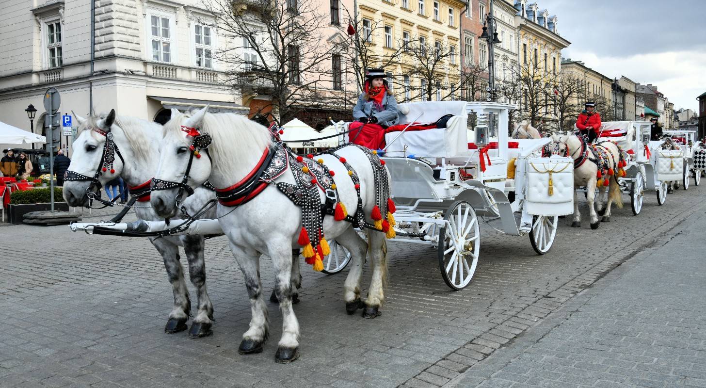 Billet d'avion pour Cracovie, découvrez le château royal de Wawel