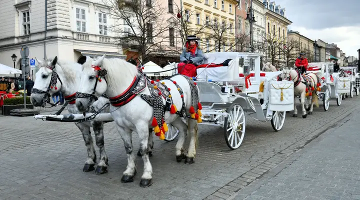 Billet d'avion pour Cracovie, découvrez le château royal de Wawel Billet d'avion pour Cracovie, découvrez le château royal de Wawel