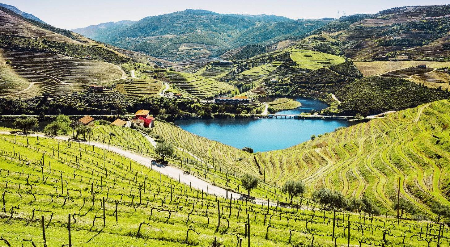 Voyage en Europe visitez Porto et explorez les vignobles de la région