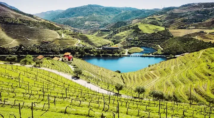 Voyage en Europe visitez Porto et explorez les vignobles de la région Voyage en Europe visitez Porto et explorez les vignobles de la région