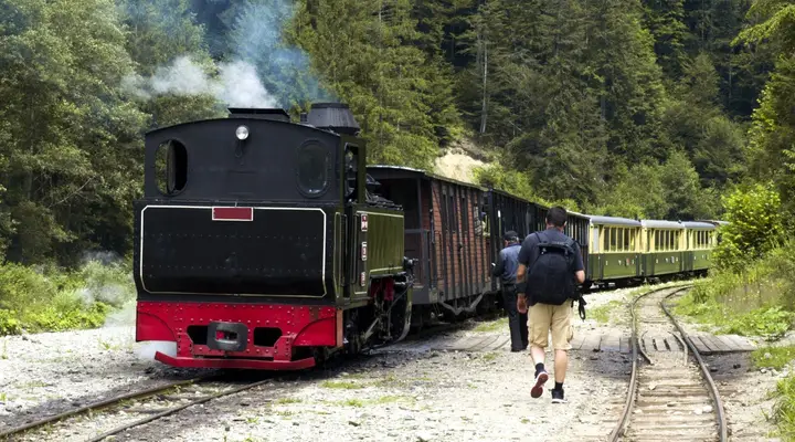 Train à vapeur Mocănița dans la vallée de la Vișeu Voyage en Roumanie - Vol pour Baia Mare