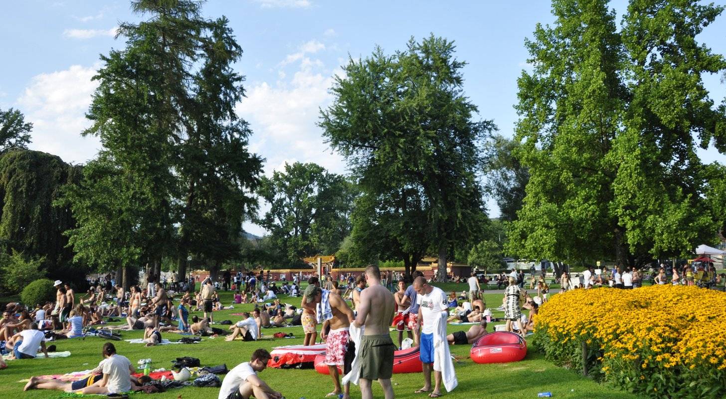 Vol pas cher pour Zurich, balade au parc Arboretum