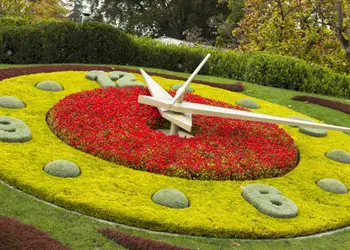 Vol pas cher pour Genève, découvrez l’horloge fleurie