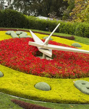 Visiter Genève et ses environs