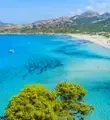 Calvi