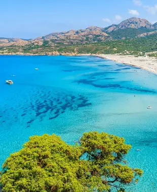 Visiter Calvi et ses environs