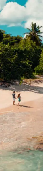 Vol pas cher Les Iles de Guadeloupe
