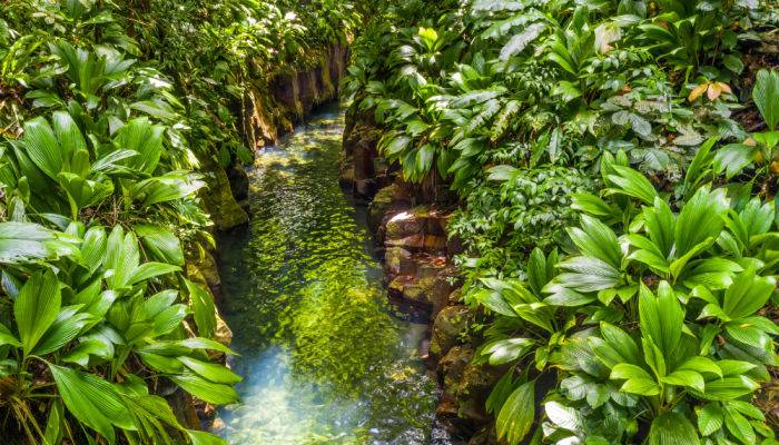 Vol pas cher Guadeloupe