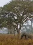 Vol pas cher Bénin