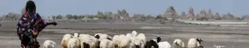 Djibouti