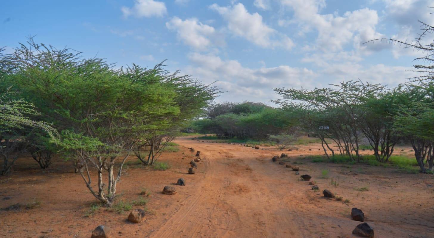 Billet d’avion pour Djibouti, exploration d’un paysage naturel