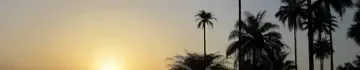 Guinée