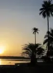 Vol pas cher Guinée