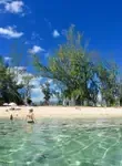Vol pas cher La Réunion