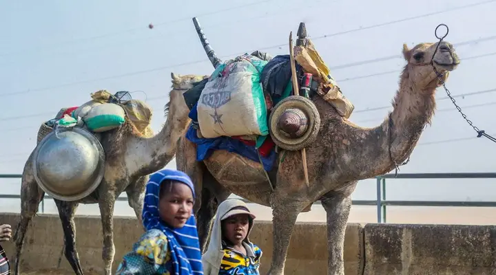 Des nomades au Nigéria Vol pas cher pour le Nigéria, rencontre avec des nomades nigérians