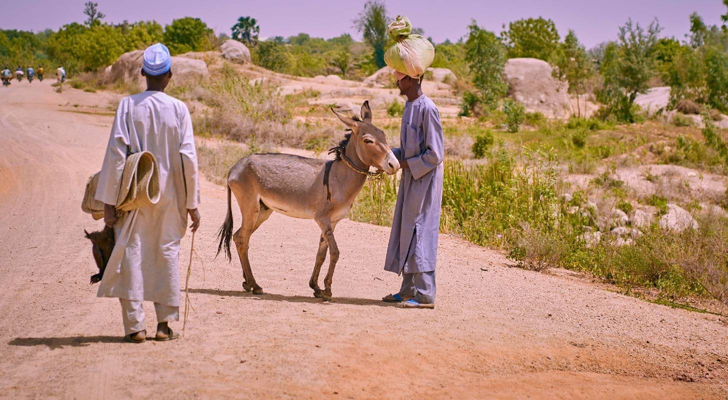 Voyage au Tchad
